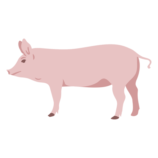 Pig profile flat PNG Design