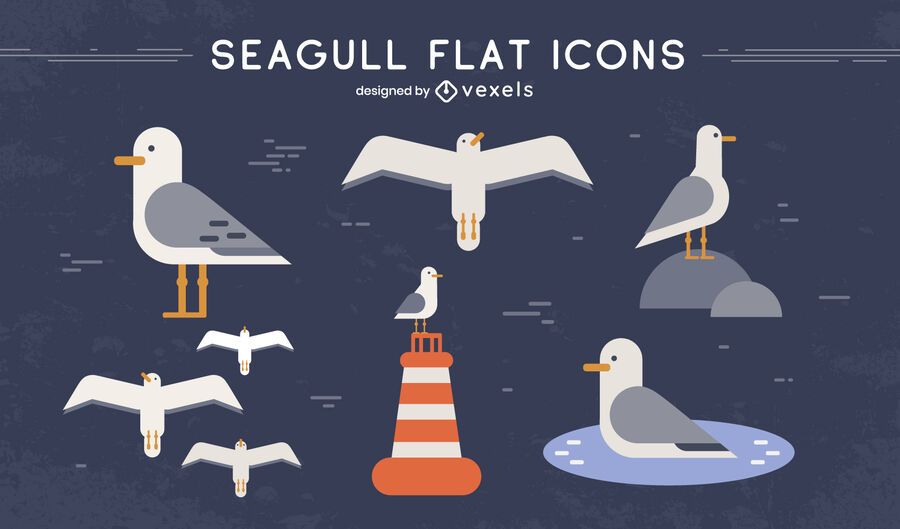 Seagull bird winged animal set Seagull bird winged animal set