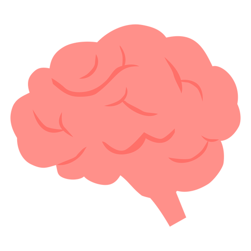 Human brain semi flat PNG Design