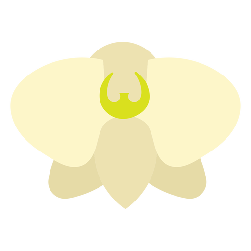 White orchid flower flat PNG Design