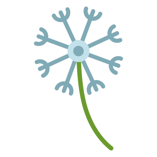 Dandelion in a stem flat