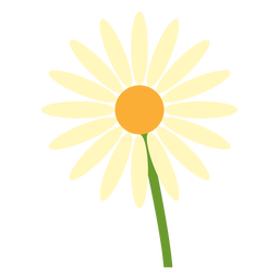 Daisy flower in a stem flat Transparent PNG
