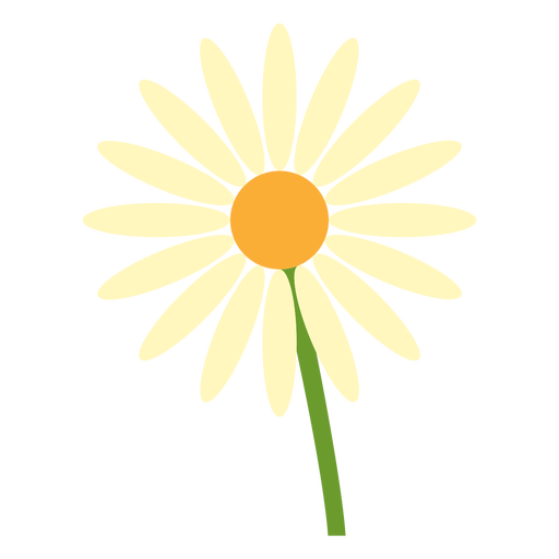 Daisy flower in a stem flat