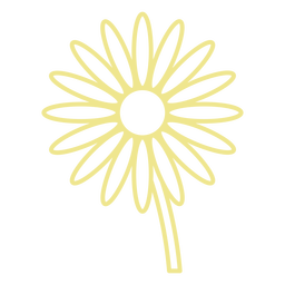Daisy contour stroke PNG Design