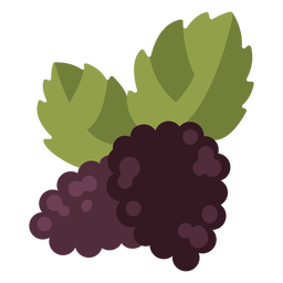 Grapes semi flat  PNG Design