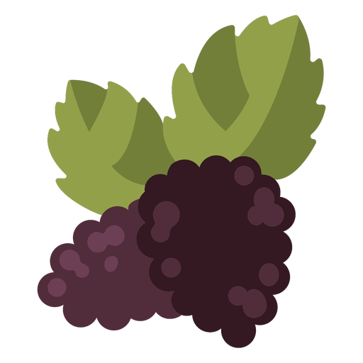 Grapes semi flat  PNG Design