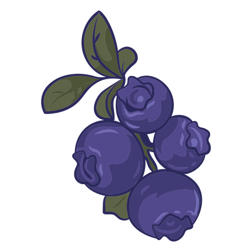 Blueberries in a stem color stroke PNG Design