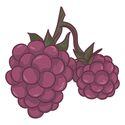 Grape fruits food PNG Design