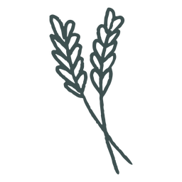 Wheat stems stroke Transparent PNG