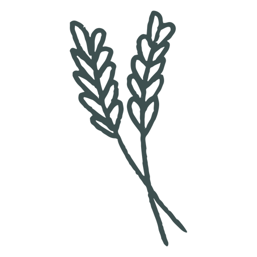 Wheat stems stroke PNG Design