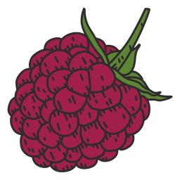 Racimo de trazo de color de uvas Diseño PNG