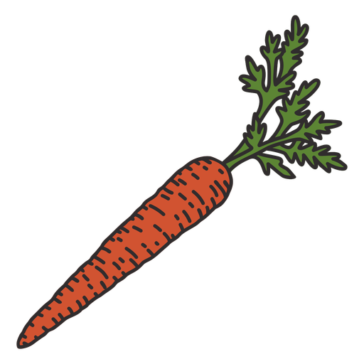 Carrot detailed color stroke PNG Design