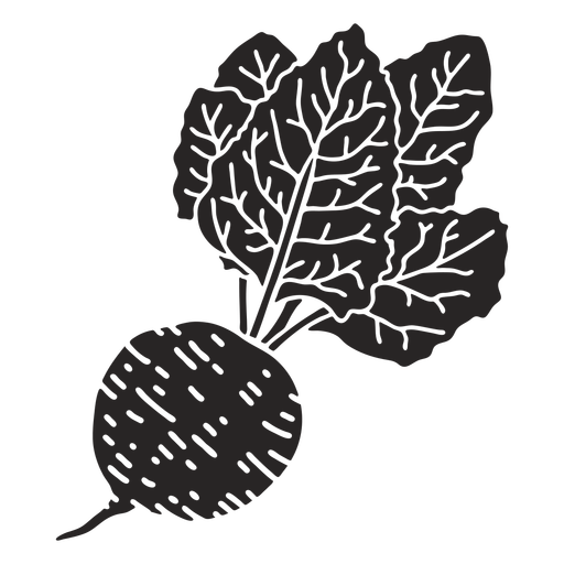 Beet root detailed cut out PNG Design
