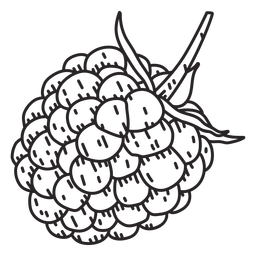 Raspberry detailed stroke PNG Design