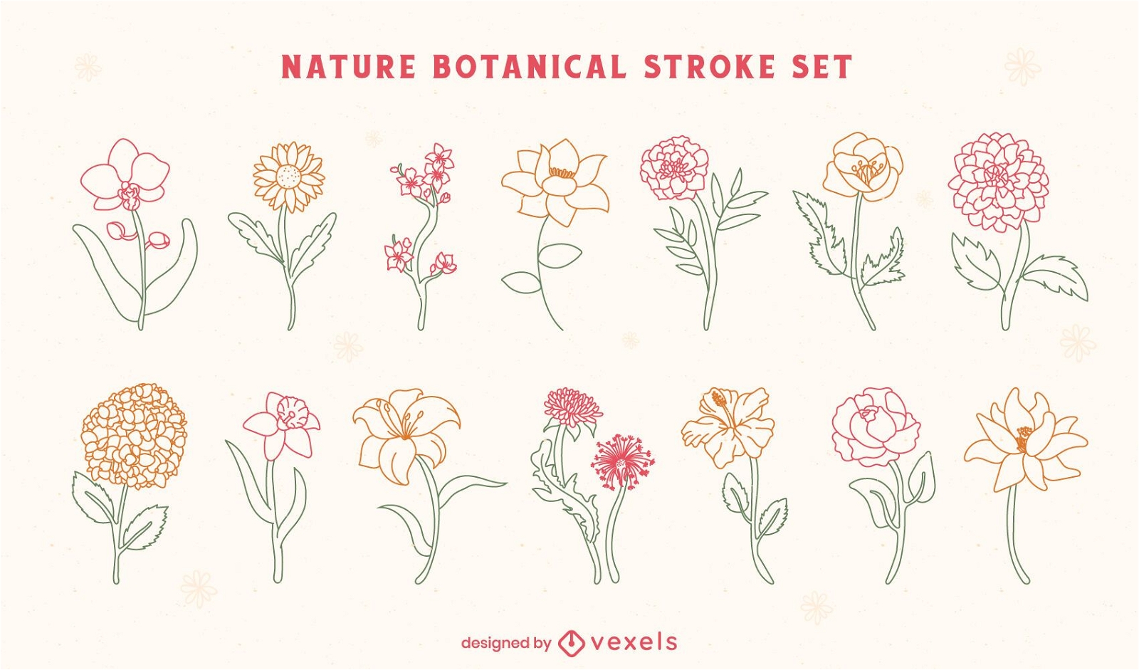 Flowers nature botanical line art set