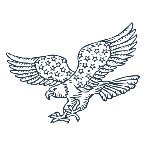 Flying eagle american flag hand drawn