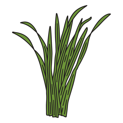 Grass leaves color stroke PNG Design