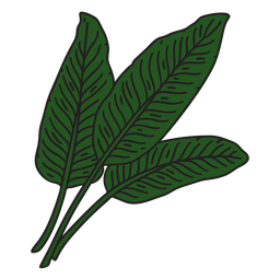 Tropical leaves color stroke Transparent PNG