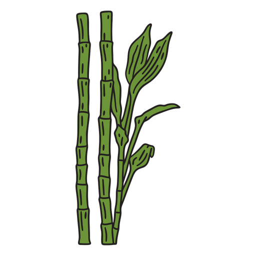 Bamboo plant color stroke PNG Design