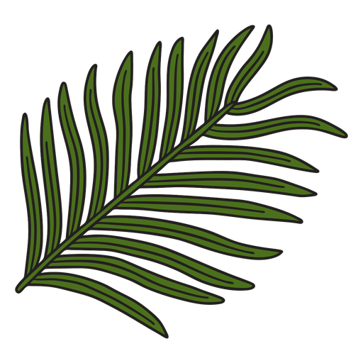 Tropical leaves plant color stroke PNG Design