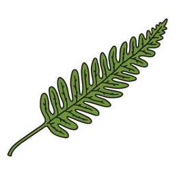 Long pine leaf color stroke
