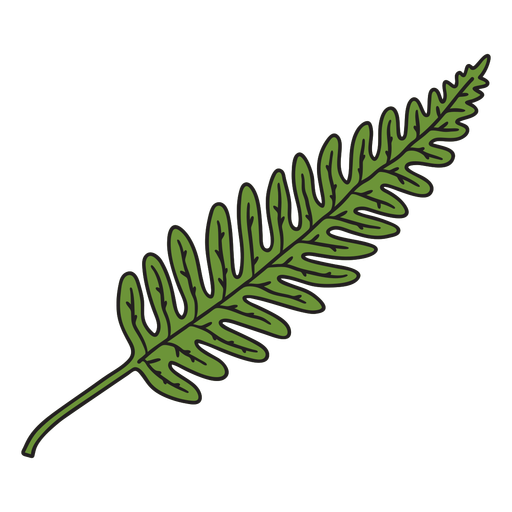 Long pine leaf color stroke PNG Design