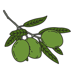 Olives and leaves color stroke Transparent PNG