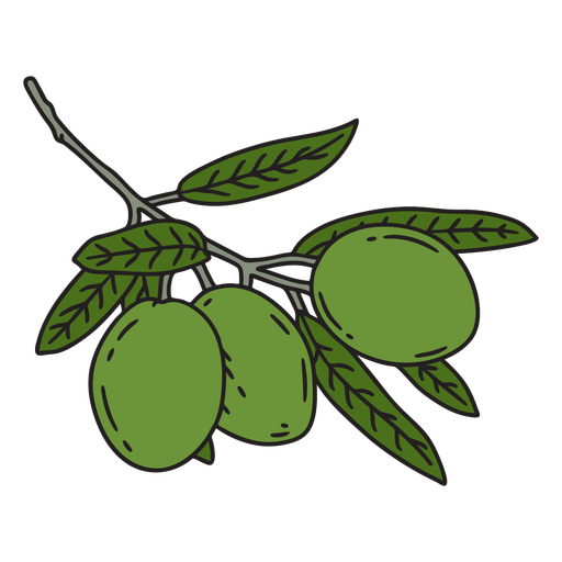 Olives and leaves color stroke PNG Design