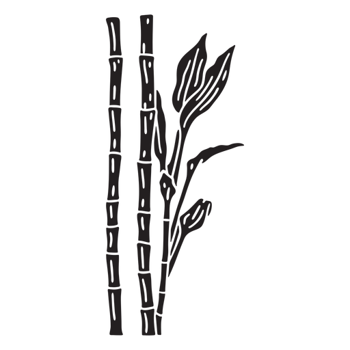 Bamboo plant cut out PNG Design