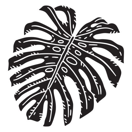 Monstera plant leaf cut out PNG Design