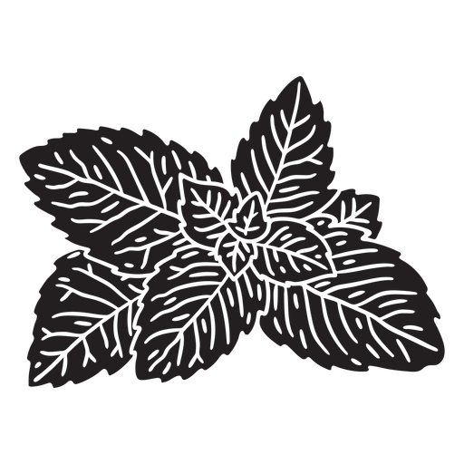 Mint leaves cut out PNG Design