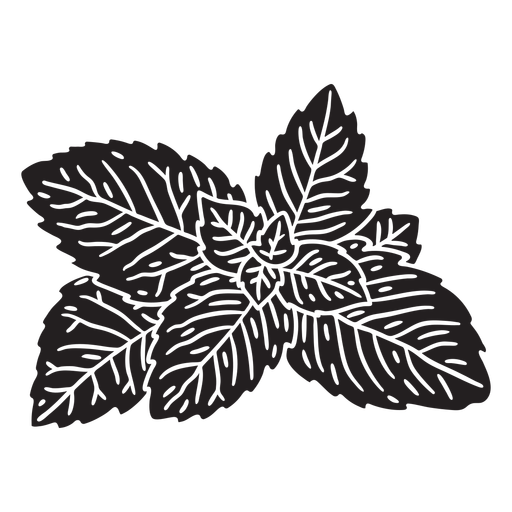 Vector Mint Leaves PNG, Vector, PSD, and Clipart With Transparent