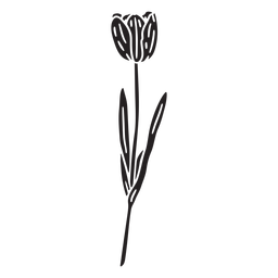 NatureBotanicalVintageEtchPrint - 31 1 PNG-Design