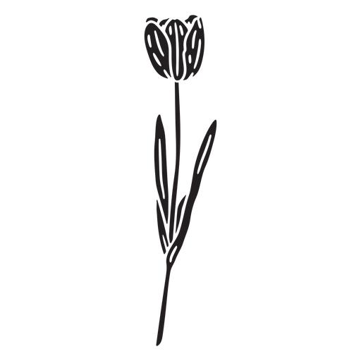 Tulip flower cut out PNG Design