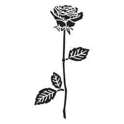 Rose single flower cut out