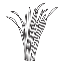 NatureBotanicalVintageEtchPrint - 35 Diseño PNG