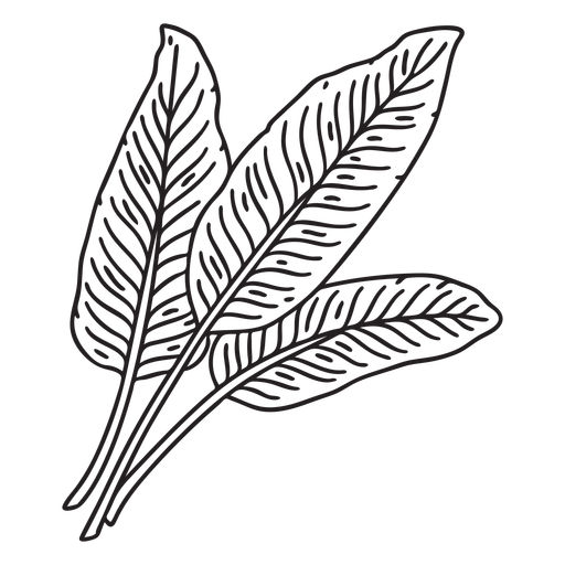 Tropical leaves stroke PNG Design