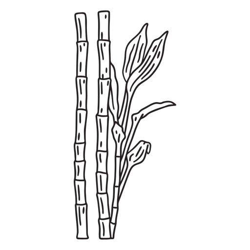 Bamboo cane plant stroke PNG Design