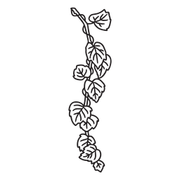 Ivy stroke leaves PNG Design