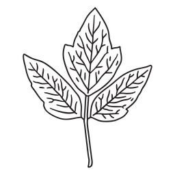 Three Leaves Plant Stroke PNG & SVG Design For T-Shirts