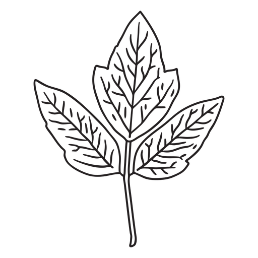 Three leaves plant stroke PNG Design