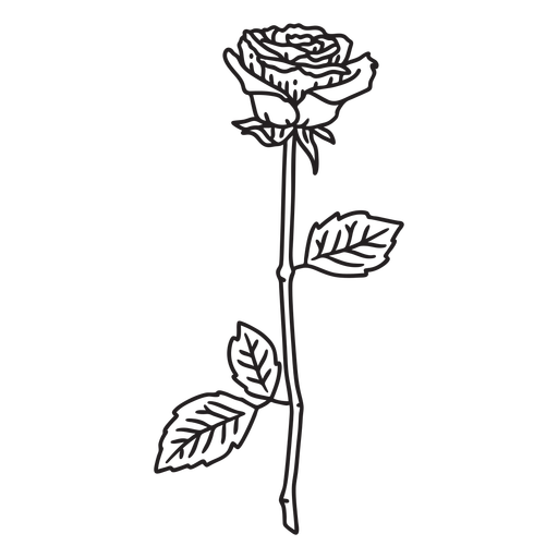 Rose single flower stroke PNG Design