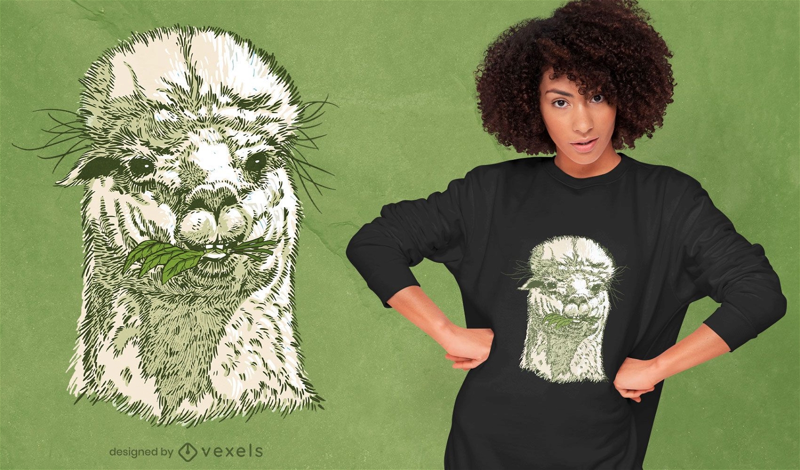 Diseño de camiseta de cara de alpaca dibujada a mano.