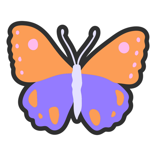 Butterfly color stroke PNG Design