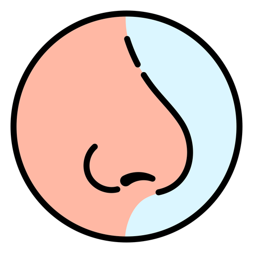 Nose profile color stroke