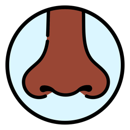 Human nose color stroke PNG Design