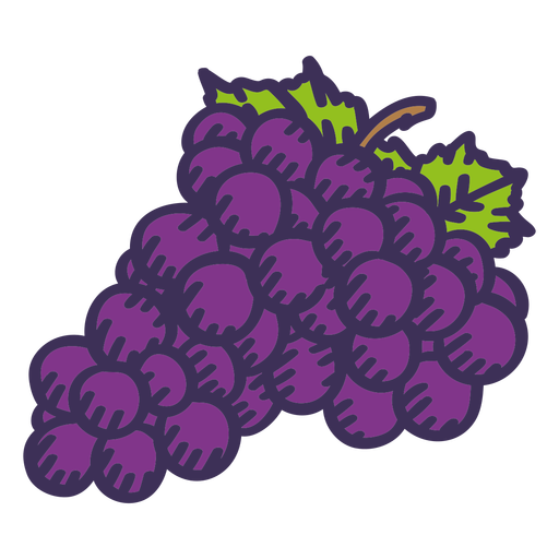 Bunch grapes color stroke PNG Design