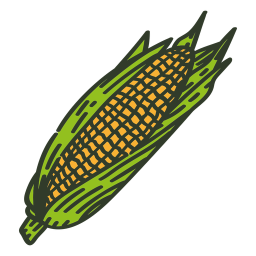 Fresh corn color stroke PNG Design