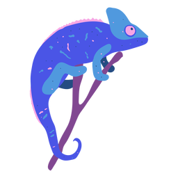 Blue chameleon animal nature