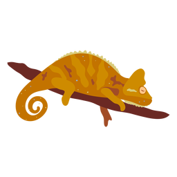 Chameleon_svg - 5 Diseño PNG